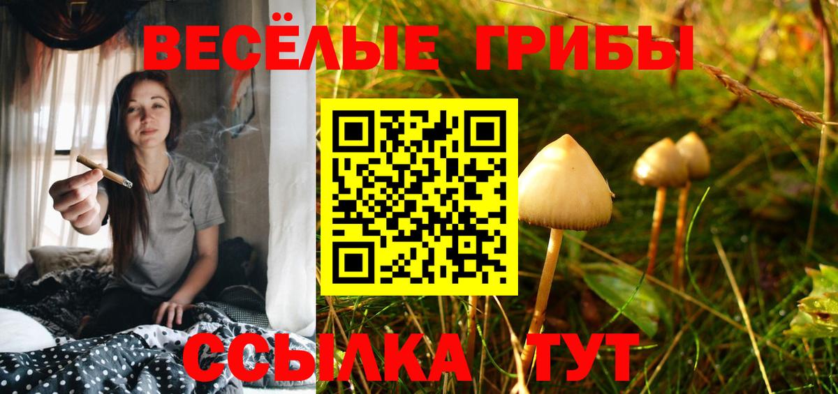 Псилоцибиновые грибы мухоморы  Вход с VPN  Ачинск 