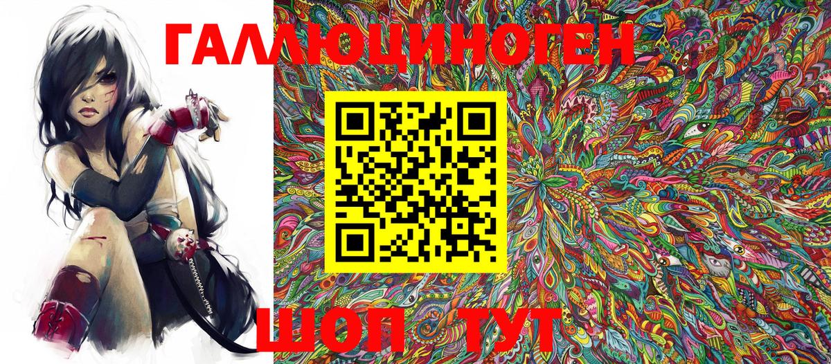 Галлюциногенные грибы Psilocybe Ачинск